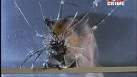 Komisarz Rex S05E01 (Lista śmierci)