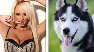 Co wyjdzie z połączenia BLONDYNKI i HUSKY? [SUCHARY TYGODNIA]
