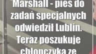 Najlepsi piloci rywalizowali w Chełmie.  Złoto i brąz wśród juniorów dla naszych