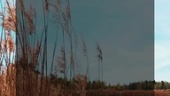 25.  CODZIENNA MOTYWACJA PO TOKSYCZNYM ZWIĄZKU