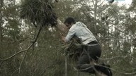 Szkoła Przetrwania - Ultimate Survival S01E10 - Floryda - Everglades [Lektor PL]
