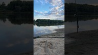 Najciekawsze momenty na żywo
