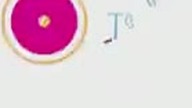 MC - DQTQTQ 41