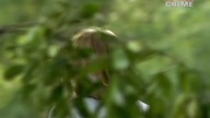 Largo S02E01