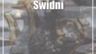 Świdnik: Upoluj wyjątkową okazję na Targu Staroci