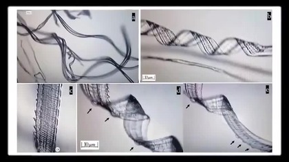 gadzinowe filmy 3 tvai