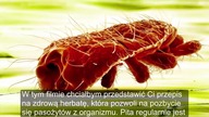 Pozbądź się szkodliwych PASOŻYTÓW ze swojego organizmu dzięki tej herbacie oczyszczającej