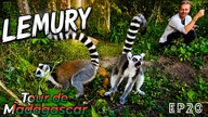 Tour de Madagascar - Lemury ŻYJĄ TU NA WOLNOŚCI !!! E20 [ENG SUB]