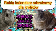 Robię kalendarz adwentowy dla królików DIY