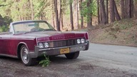 Northern. Exposure. S06E21