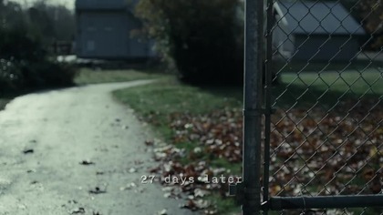 Cykl. lektor