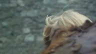 Robin of Sherwood najlepsza scena 3 sezonu