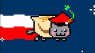 Polski nyan cat