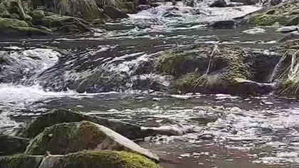 BIeszczadzkie rzeki ...  :) #biesy #wbieszczady #bieszczady #rzeki #rzeka