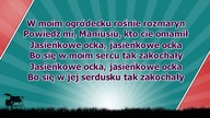 Karaoke - W Moim Ogródecku - wersja dance - wersja szybsza