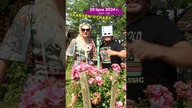 JUŻ 20 LIPCA! Gruba impreza na terenie Skansenu Ochaby!  SZCZEGÓŁY W OPISIE FILMU: