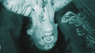 Paranormal Entity (2009) Lektor PL