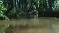 Spływ kajakowy.  Rzeka Gawia, gmina Dziewieniszki.  Gaujos upelis prie Dieveniškių.  Dieveniškės.