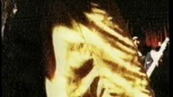 Korn - Faget