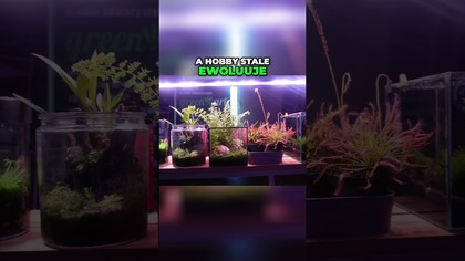 Akwarystyka - ciekawy kontrast na wystawie!