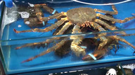 #128 Odkrywanie Chin - Seafood market w Guangzhou