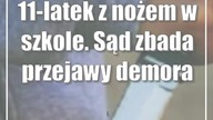 11-latek z nożem w szkole.  Sąd zbada przejawy demoralizacji