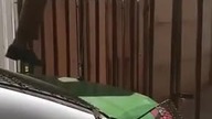 Policjant ratuje uwięzionego psa