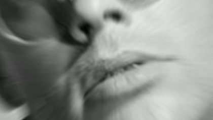 CYBULSKI - PODWÓJNE SALTO - RECENZJA #cybulski #salto #prl @WydawnictwoZnak