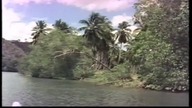 Daughter of the Jungle - trailer