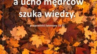 Audycja Wyzwolony Bessie Tollberg