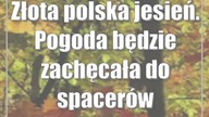 Złota polska jesień.  Pogoda będzie zachęcała do spacerów