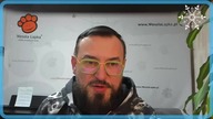 Jak zwiększyć pewność siebie u psa?