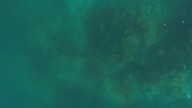Snorkling w Tajlandii i Bezludna Wyspa
