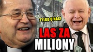 Ściółka z banknotów.  Przeanalizowaliśmy 31 tys.  darowizn Lasów Państwowych.  SZOKUJĄCE DANE!
