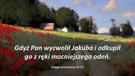 Audycja Wyzwolony - Dawid Chapin