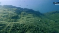 Podwodne Cuda Afryki - odcinek 4 - Malawi