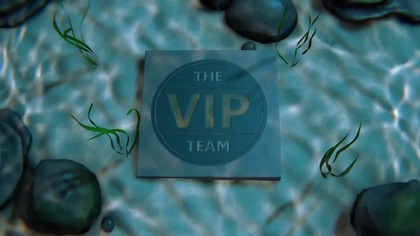 The Secret to Riches VISUALIZATION by