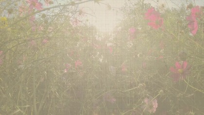 Watchman Nee Nie miłujcie tego świata