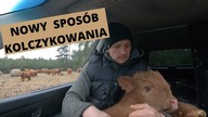 Vlog z farmy.  Marzec 2011