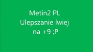 Metin2PL Astral Lwia Tarcza na+9