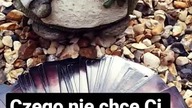 Czego Ci nie chce teraz powiedzieć?