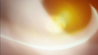 RTL 2 CH(07-08-05 17-44-23)