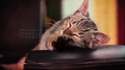 Uzdrawianie choroby nieuleczalne rak nałogi inne wewnętrzne. Zabiegi gabinet Katowice i na odległość