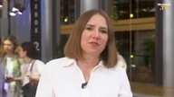 BRYŁKA WPROWADZA NAS DO EUROPARLAMENTU!