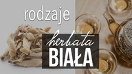 Biała Herbata: rodzaje, skąd pochodzi i rodzaje białej herbaty (1/2) - Czajnikowy.pl