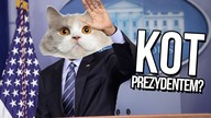 10 najlepszych faktów od widzów [MILION SUBÓW!]