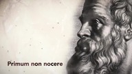 Hubert Czerniak TV - Sekretna moc ZIOŁOLECZNICTWA! ZIOŁA na KASZEL / Właściwości OLEJKÓW ETERYCZNYCH