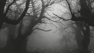 Jakub Nox Ambroziak - Fog