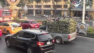 Przewóz kokosów bez zapiętych pasów !