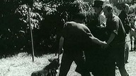 Niebowzieci-1972